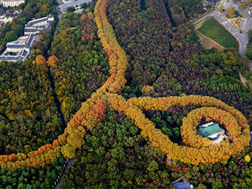 Refuerzo de anclaje: El Palacio Meiling de Nanjing